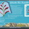 2004, Gibraltar, gibraltar vadvirágai speciális bélyegfüzet (13 bélyeges lappal)