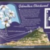 2004, Gibraltar, gibraltar vadvirágai speciális bélyegfüzet (13 bélyeges lappal)