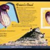 2004, Gibraltar, gibraltar vadvirágai speciális bélyegfüzet (13 bélyeges lappal)