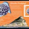 2004, Gibraltar, gibraltar vadvirágai speciális bélyegfüzet (13 bélyeges lappal)