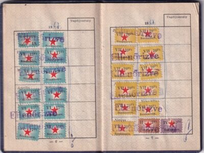 1962. Szakszervezeti Tagsági Könyv - többszáz tagsági bélyeggel - Image 5