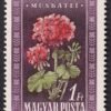 IMG 20250506 0001