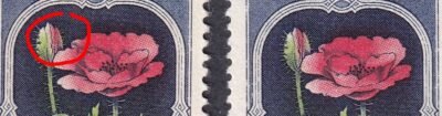 Szinelcsuszas04