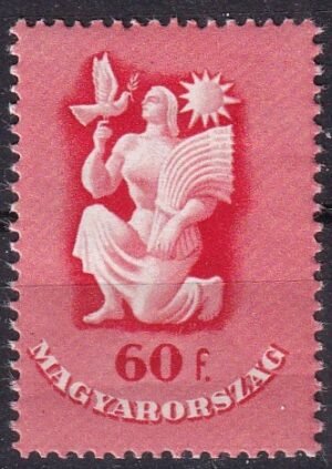 Img 20240611 0028