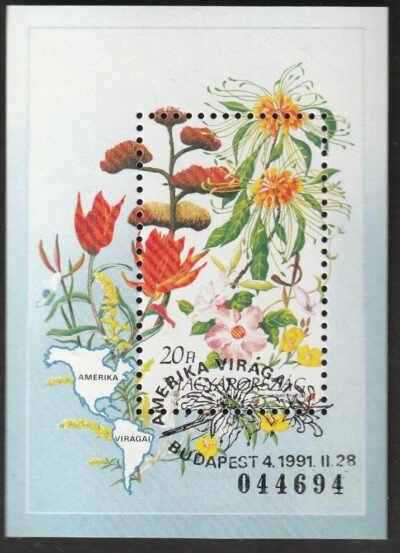 P 20240627 0012