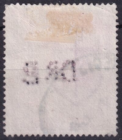 Img 20240813 0011