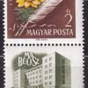 Img 20240903 0006.4