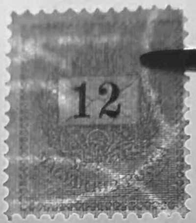 462560573 511000761903137 8313371719381670708 N