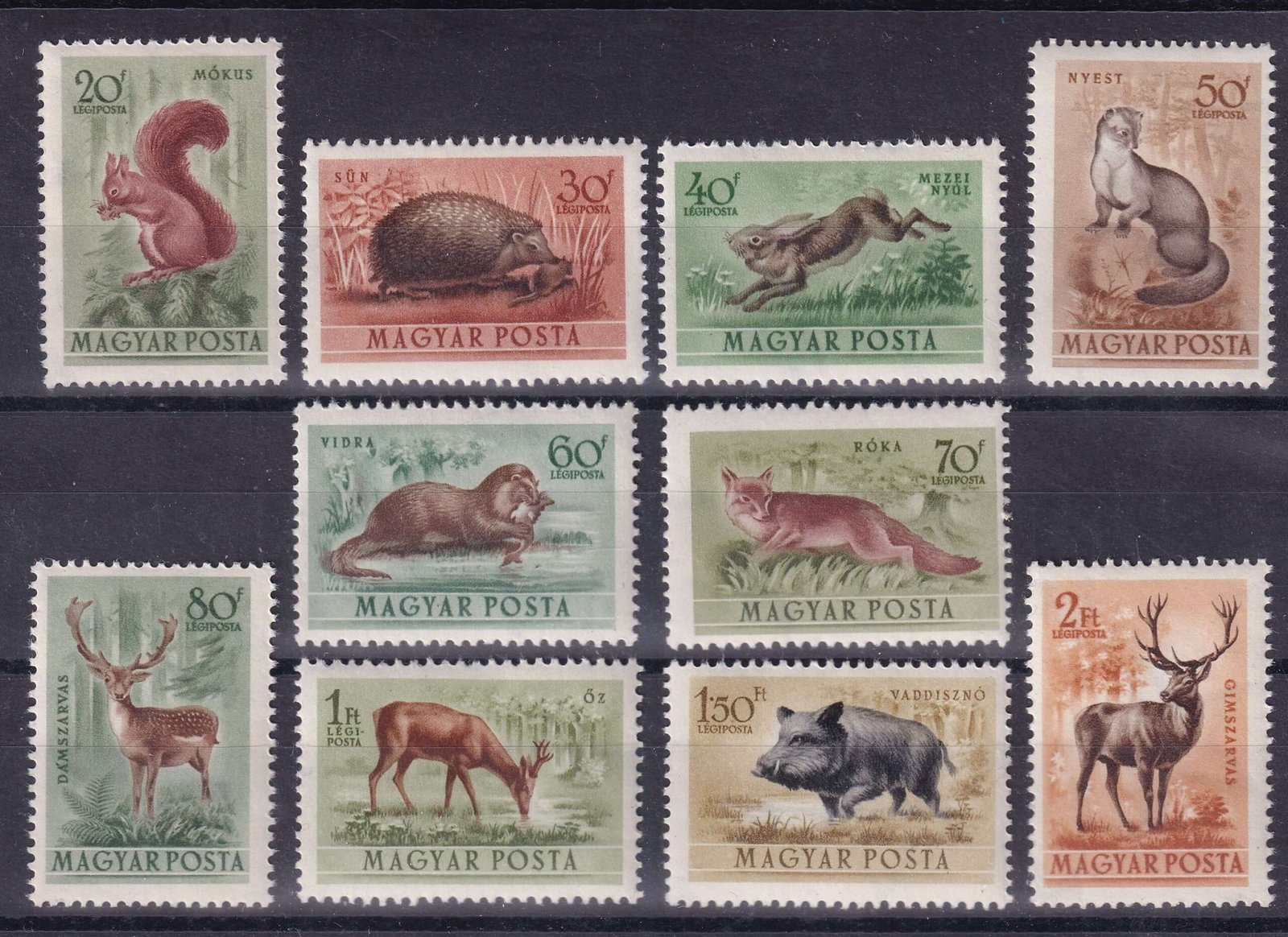 IMG_20241021_0023 Img 20241021 0023