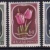 Img 20241022 0006.2