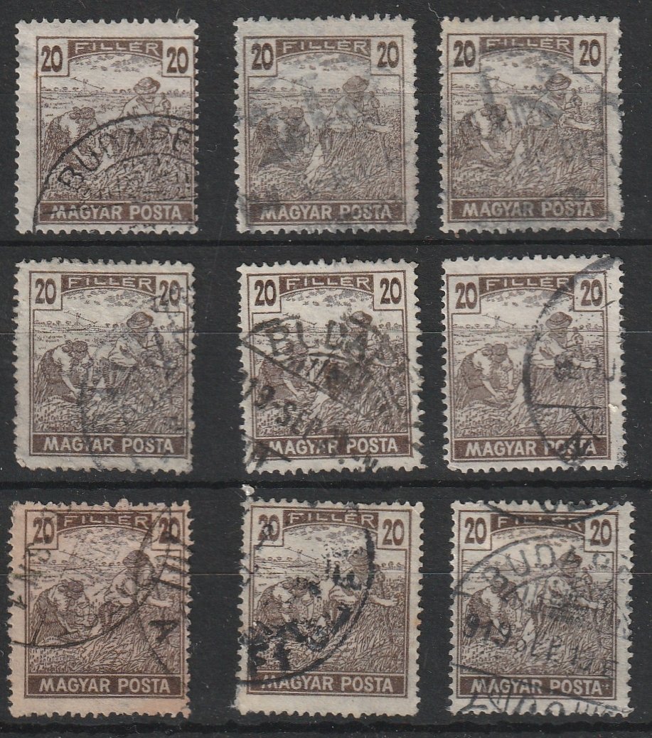 P__20241009_0003 P 20241009 0003