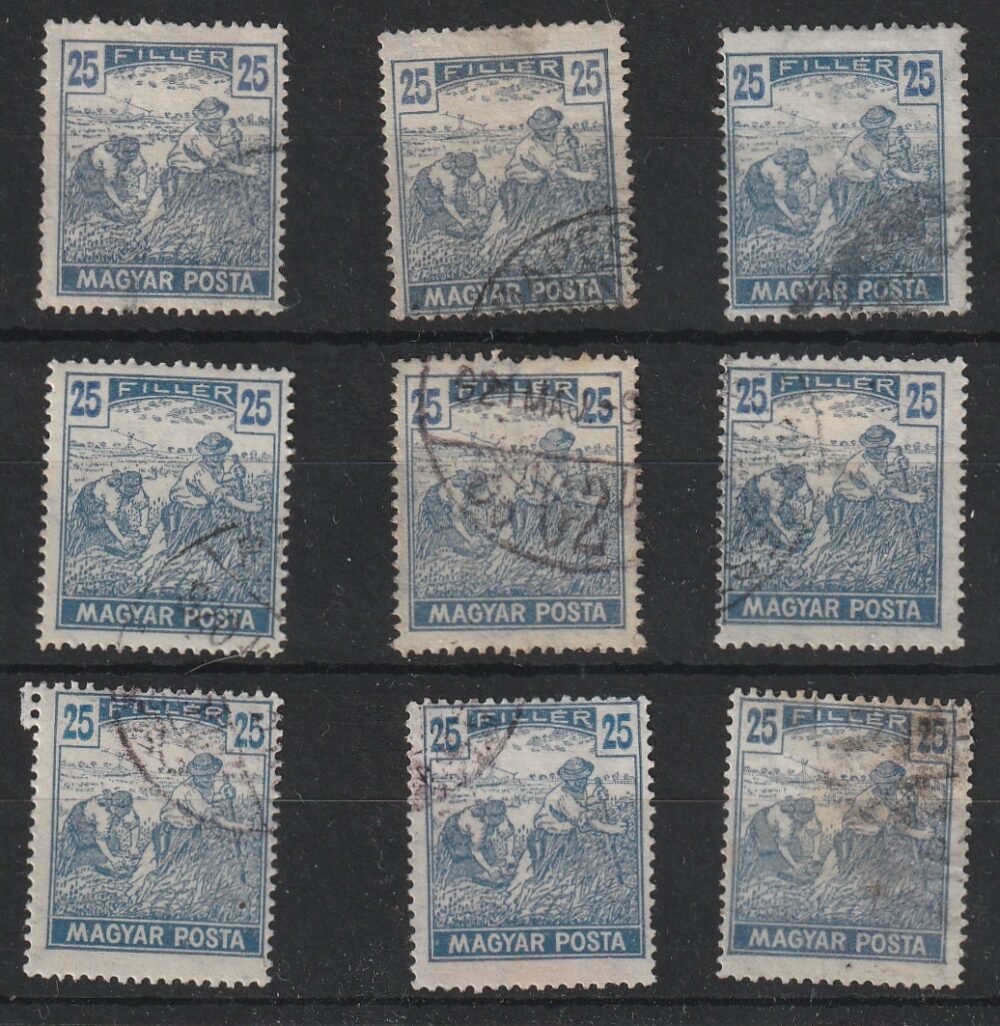 P 20241009 0004