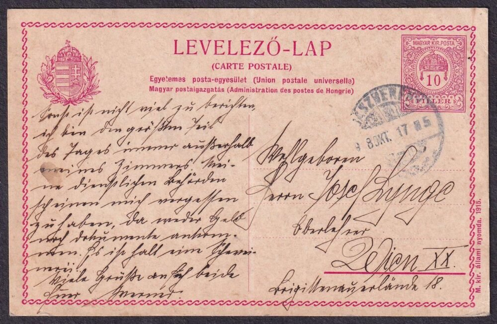 1918. JÁSZBERÉNY, Bécsbe feladott 10f Osztott címoldalú magyar-francia nyelvű levelezőlap (UPU)