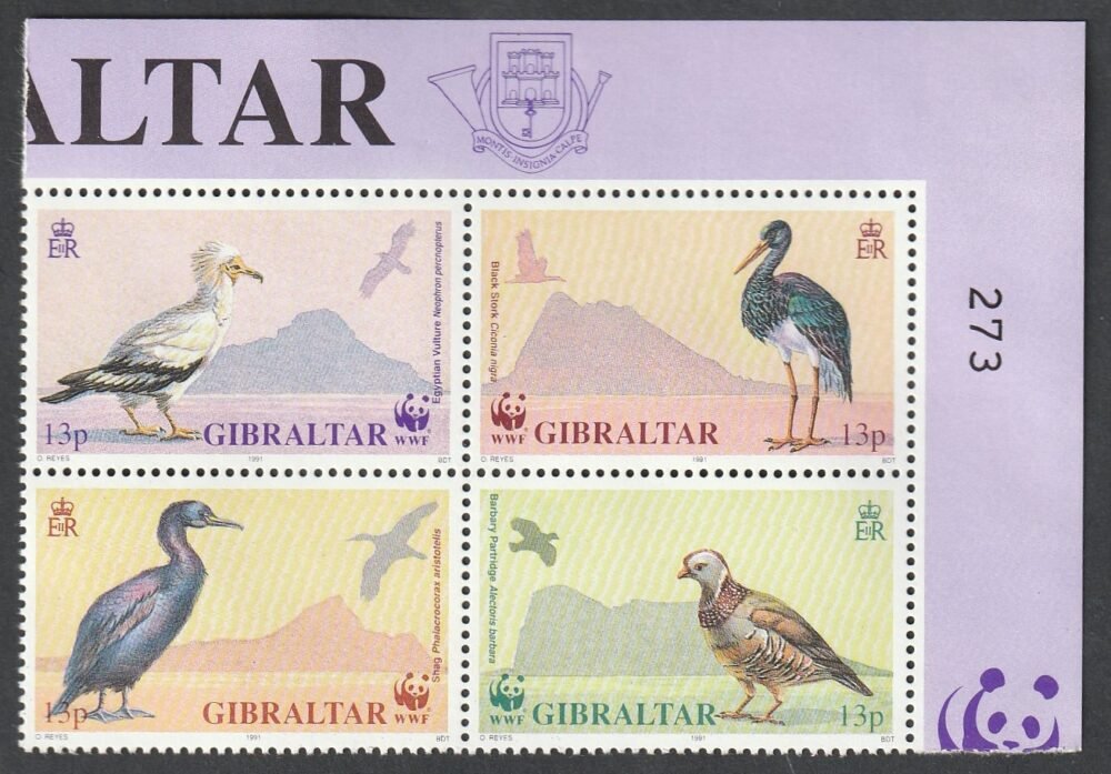 1991. Gibraltár, Madarak sor