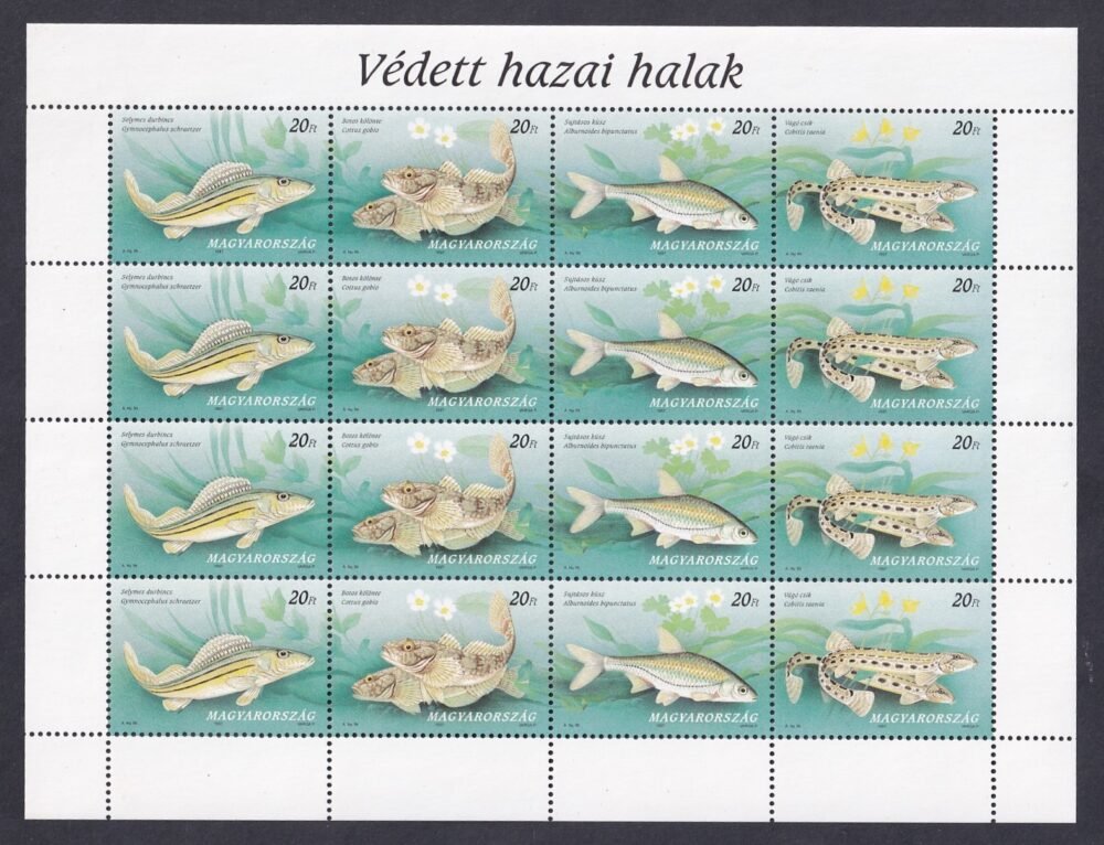 1997. Védett hazai halak teljes ív