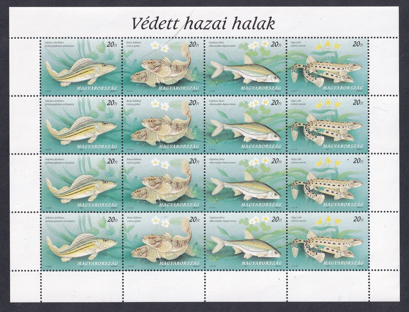 1997. Védett hazai halak teljes ív