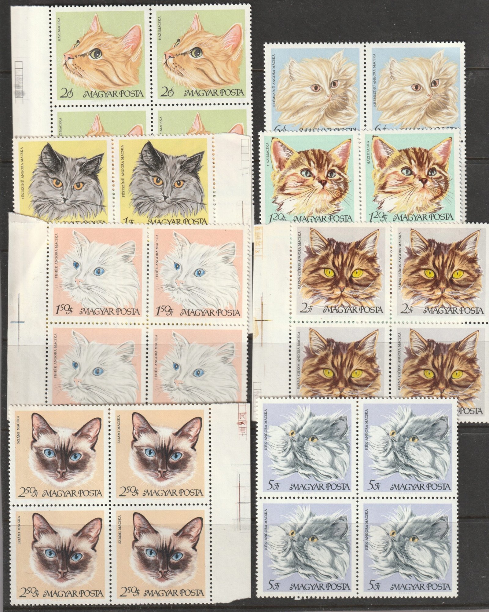 25_2_20250818_0120 1968. Macskák sor 4-es tömbökben