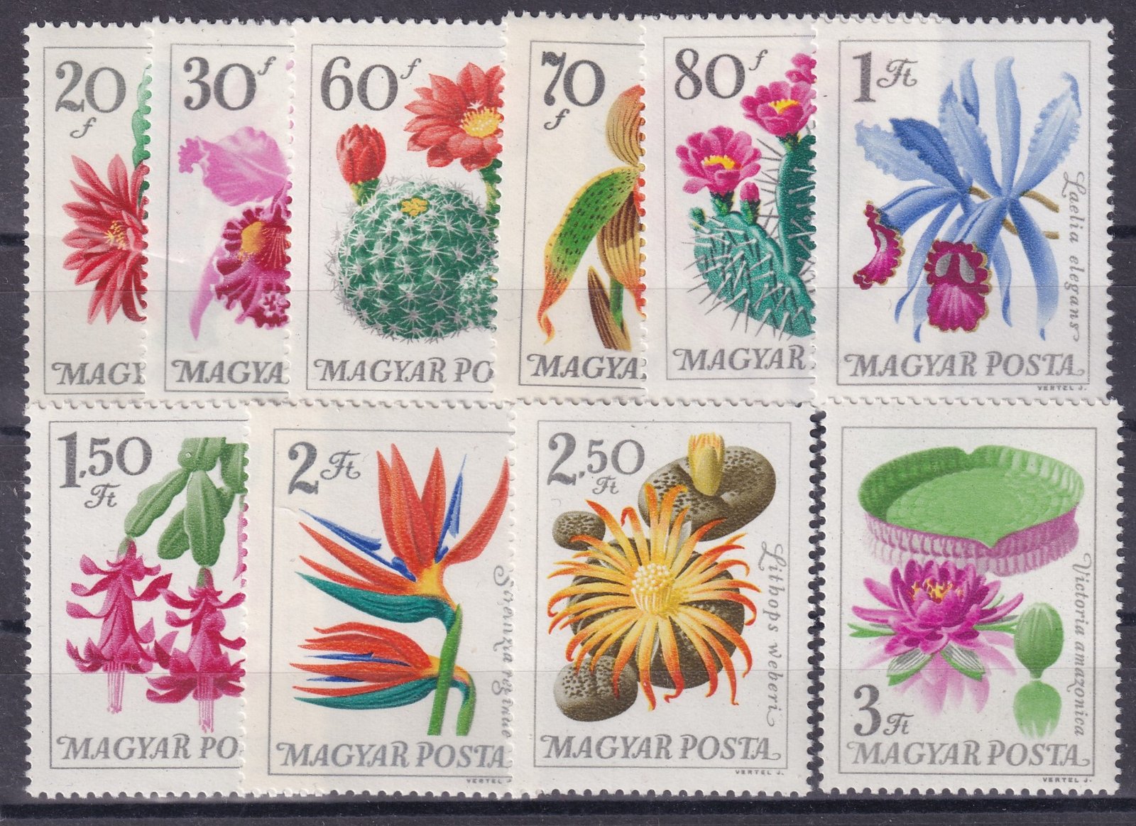 1965. Virág - Botanikus kertek virágai sor