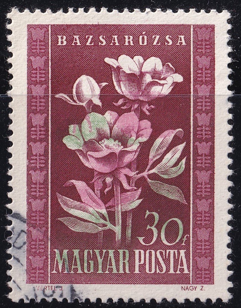 IMG_20251013_0001.7 1950. Virág – 30 f, jelentős (6 mm) színelcsúszás