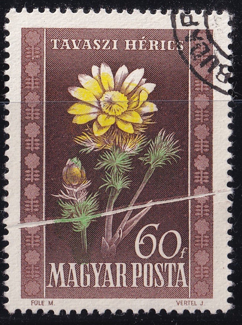 IMG_20251013_0001.8 1950. Virág – 60 f, keresztirányú papírránccal; érdekesség, hogy a zöld szín a kihúzott ráncra került nyomtatásra