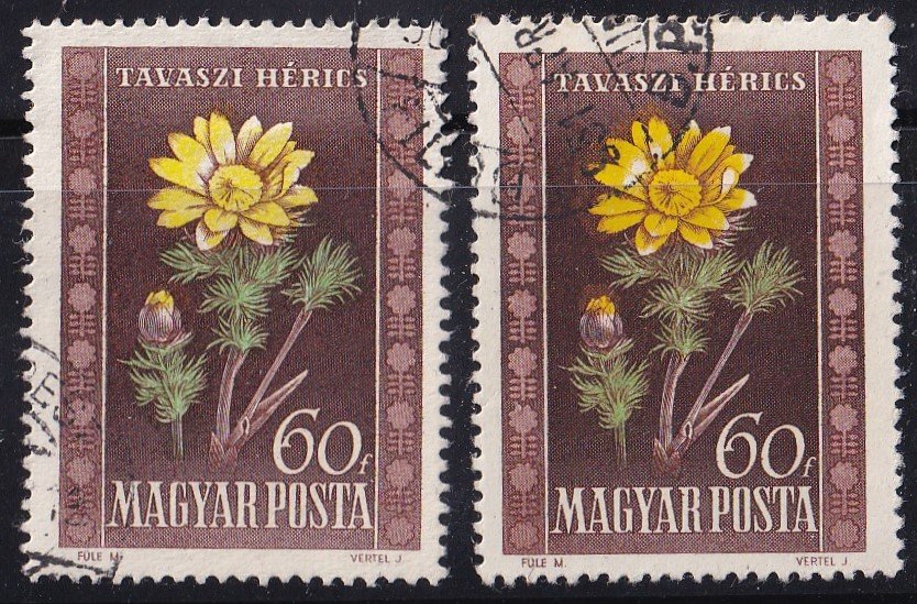 IMG_20251013_0003.2 1950. Virág 60f I és II-es nyomás