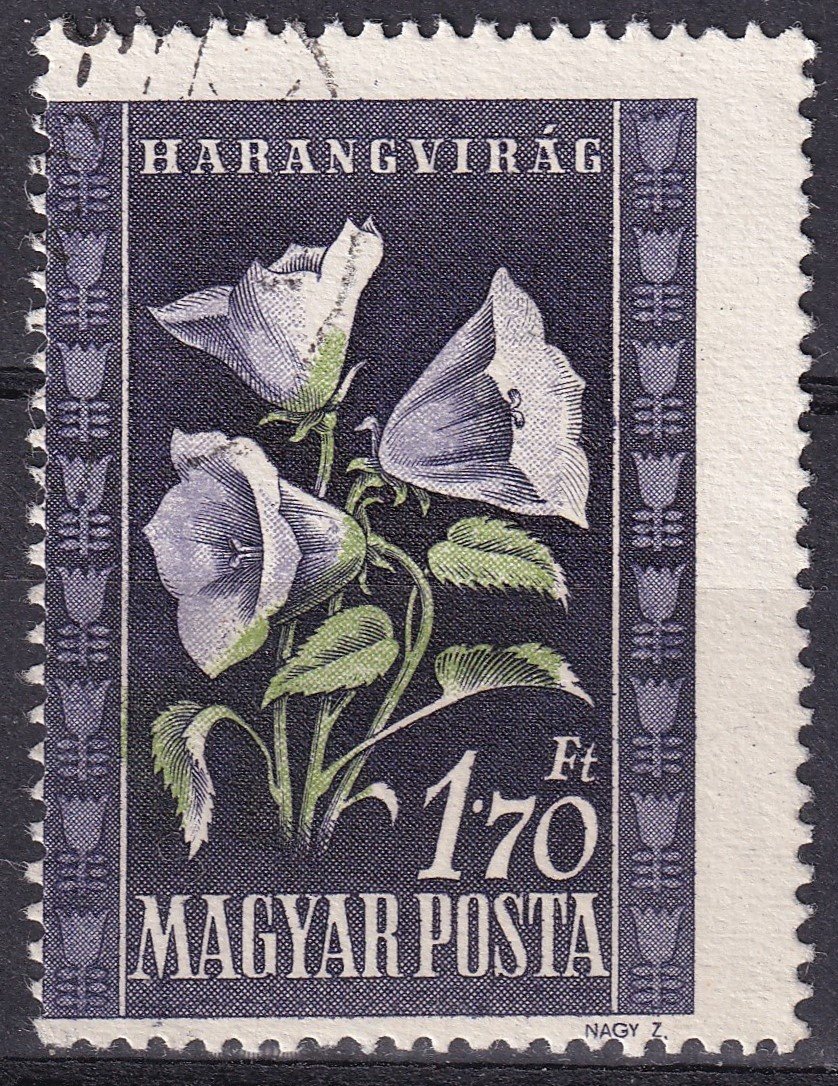 IMG_20251024_0001 1950. Virág 1,70 Ft erősen elcsúszott fogazással