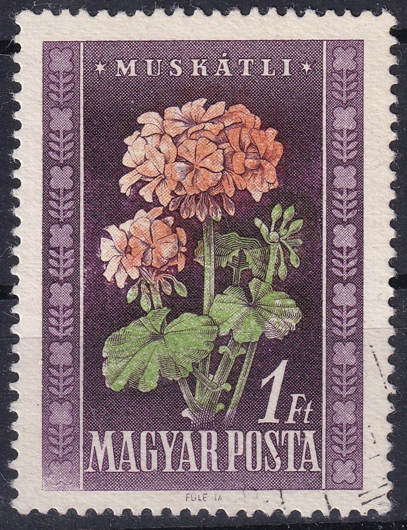 1950. Virág I. 1 Ft elcsúszott piros nyomattal