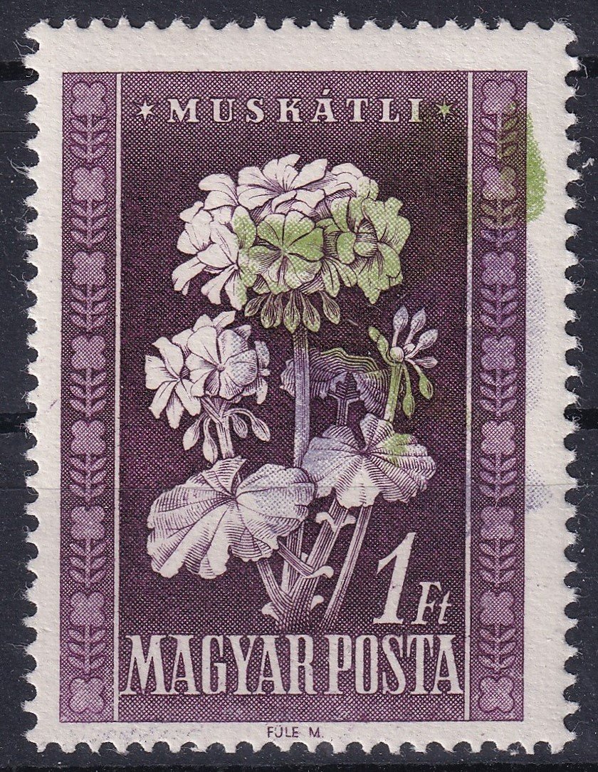 1950. Virág – 1 Ft, elcsúszott zöld színnyomás, piros nélkül