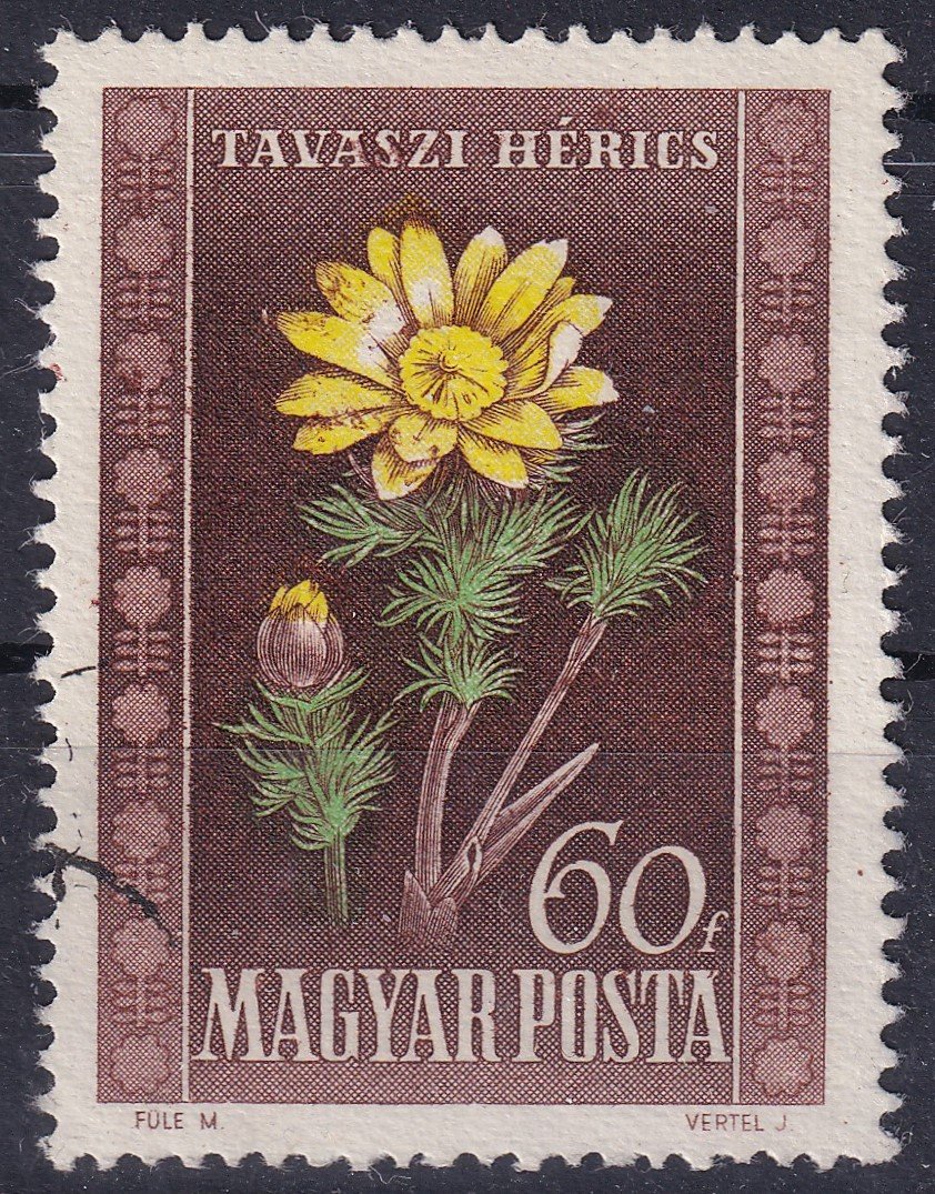 1950. Virág 60 f – a réznyomású bélyegkép intenzív gépszín-átnyomattal