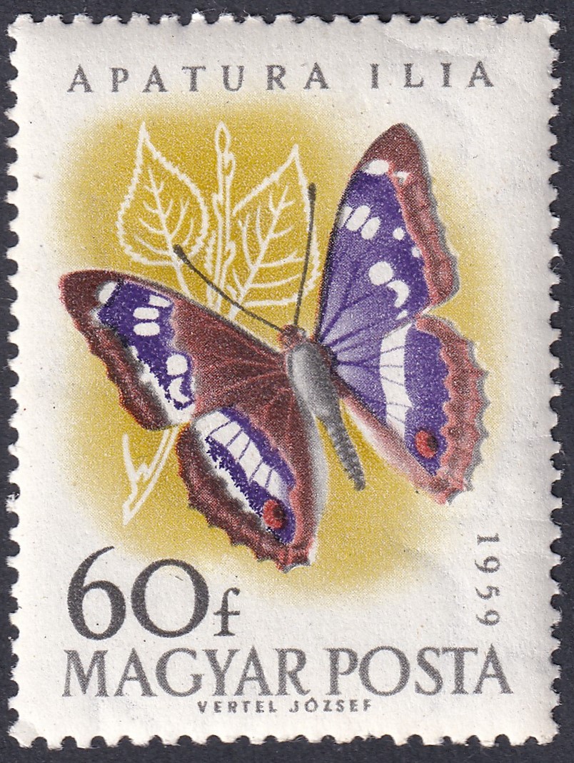 IMG_20260811_0002 1959. Lepke 60 fillér – dupla fehér csík a lepke szárnyán